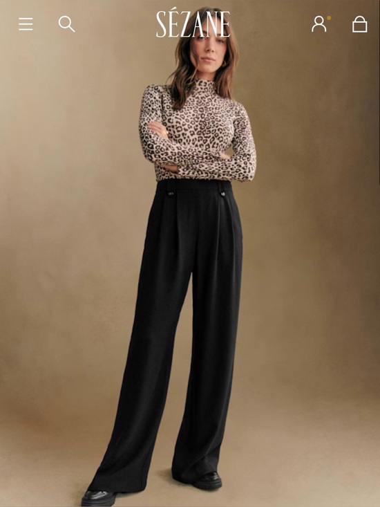 Sezane Pants - NWT Sezane Loulou Trousers - Black Size 4 (36 France)